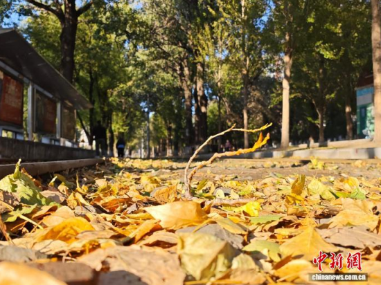 �S��54·��܉�܇�ؾ��h(hu��n)��������������߅�L(f��ng)ò������(j��)�����S���~䁝M·�������� ���z