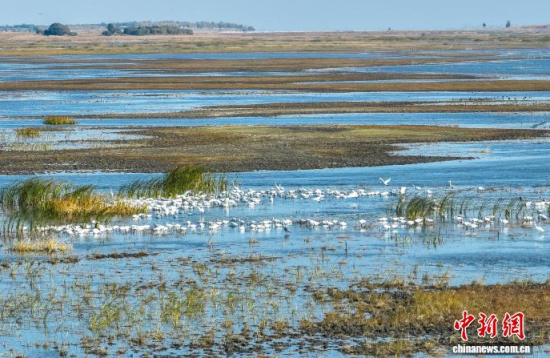 10��16��������ĪĪ����Ҽ���Ȼ���o�^(q��)��(n��i)�������ڑ�ˮ��(�o�˙C��Ƭ)�w��� �z