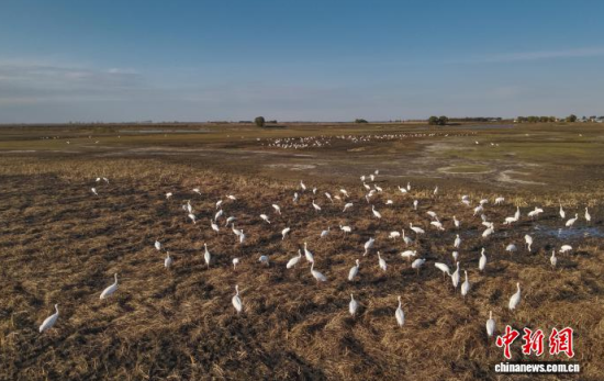 10��16�����ڼ���ĪĪ����Ҽ���Ȼ���o�^(q��)��(n��i)���Q����Ϣ��(�o�˙C��Ƭ)�w��� �z