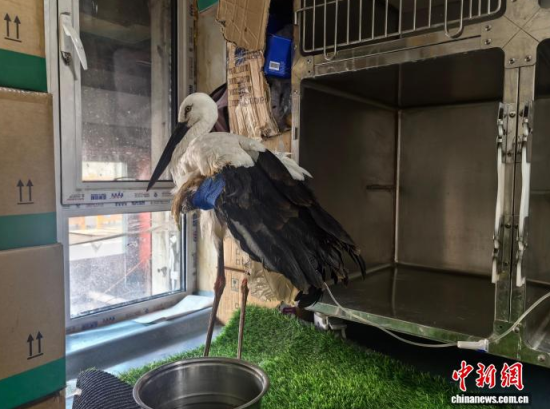 �܂��Ė|�����X���ڽ����ί�����ʯ���� �z