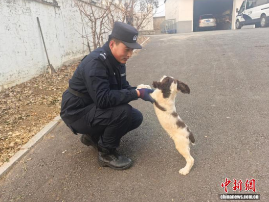 ���Ҳ������c�[�����B(y��ng)�H�ܶ�����ʯ���� �z