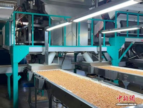 �������a(ch��n)����(�L(zh��ng)�����P(gu��n)���D)