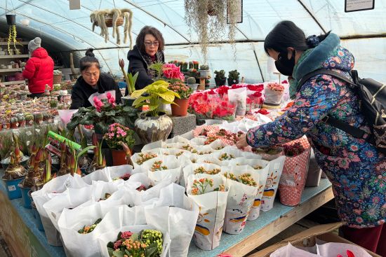 ����ُ(g��u)�I������