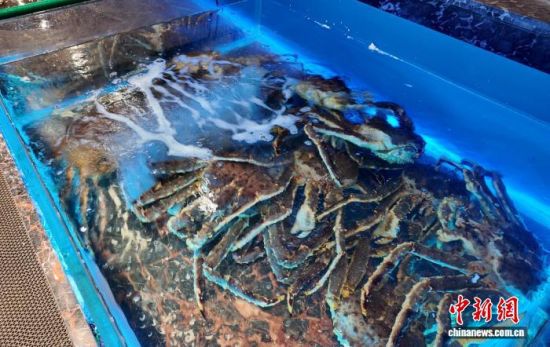 ���B(y��ng)����ĵ���з����߅��ί������ ���D