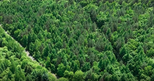 �������ߡ��w��(l��i) ���ǡ��o(h��)�҈@